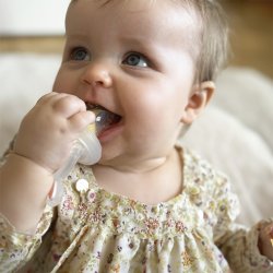 Frugtsut med mini fryseform - Rose